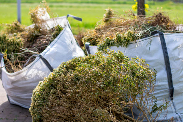 Full-Service Junk Removal in Tropical Park, FL